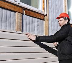 Best Historical Building Siding Restoration  in Galesville, WI